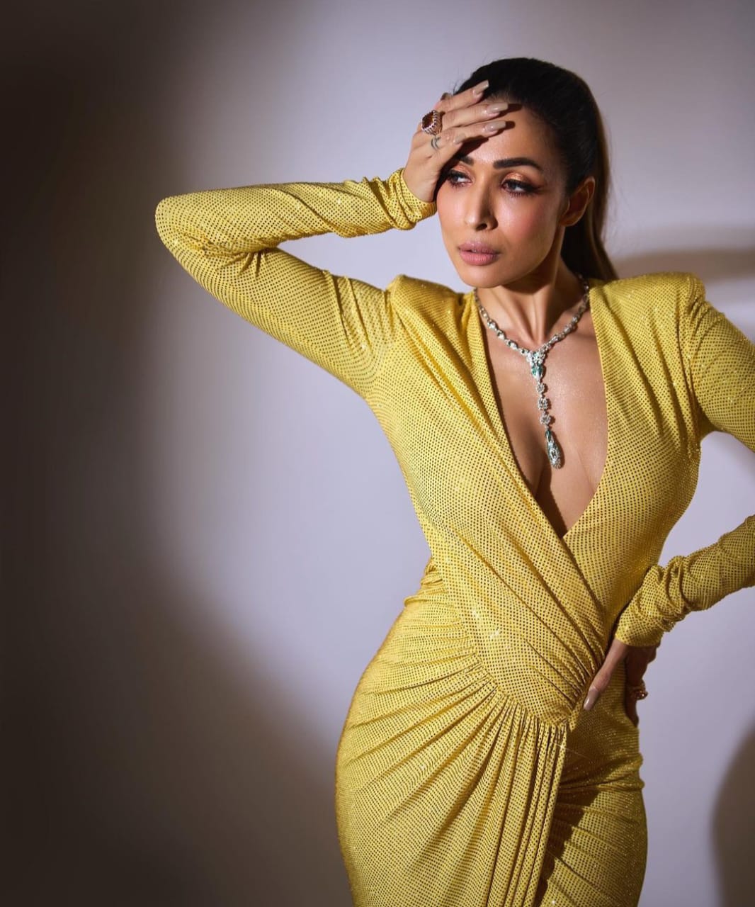 Malaika Arora: অভিনেত্রীকে নিয়ে ওঠা ট্রোল নিয়ে বেজায় চিন্তিত অভিনেত্রীর বাবা ও মা,নেতিবাচক মন্তব্য নিয়ে চর্চা নেটদুনিয়াতেও