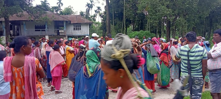 Alipurduar: চা বাগানের আগাছার ঝোপঝাড় সাফাই এর দাবিতে কাজ বন্ধ করে বিক্ষোভ শ্রমিকদের