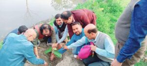 আলিপুরদুয়ার বিশ্ব বিদ্যালয় ক্যাম্পাসে বৃক্ষরোপণ 