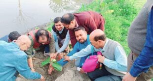 আলিপুরদুয়ার বিশ্ব বিদ্যালয় ক্যাম্পাসে বৃক্ষরোপণ