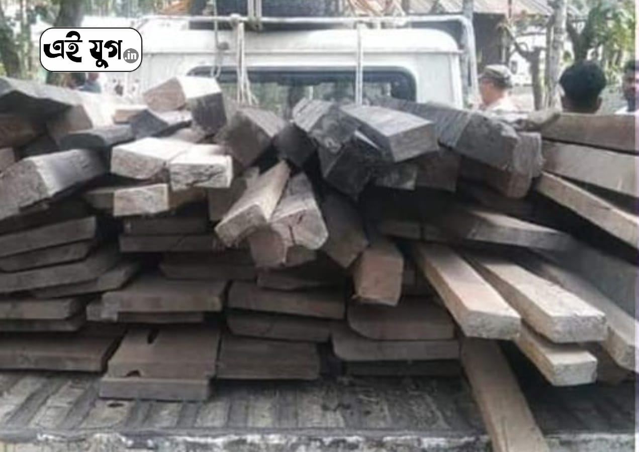 Alipurduar: পুলিশ ও বন কর্মীদের যৌথ অভিযানে আটক কয়েক লক্ষাধিক টাকার বহুমূল্য সেগুন কাঠ