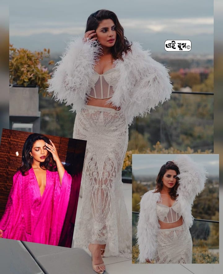Priyanka Chopra: রাজনীতির শিকার হয়ে হলিউড পারি প্রিয়াঙ্কার , নায়িকার অভিযোগ ঘিরে তোলপাড় নেট দুনিয়া