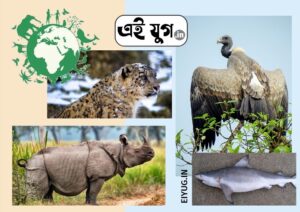 Wildlife: বিশ্ব বন্যপ্রাণ ও আমরা 