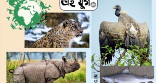 Wildlife: বিশ্ব বন্যপ্রাণ ও আমরা