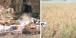 AMTA: গেঞ্জি কারখানার বিষাক্ত নিকাশী জলে ক্ষতিগ্রস্ত চাষীরা ,হাওড়ার আমতায়