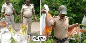Jagatballabpur: হাওড়ার জগৎবল্লভপুরে জঙ্গল থেকে উদ্ধার নিষিদ্ধ বাজি ও প্রচুর পরিমাণ বাজির মসলা