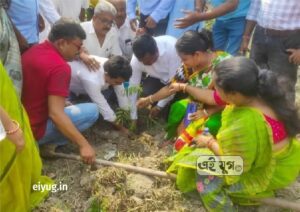 Alipurduar: আলিপুরদুয়ার পৌরসভার উদ্যোগে উদযাপিত হলো বিশ্ব পরিবেশ দিবস