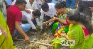 Alipurduar: আলিপুরদুয়ার পৌরসভার উদ্যোগে উদযাপিত হলো বিশ্ব পরিবেশ দিবস