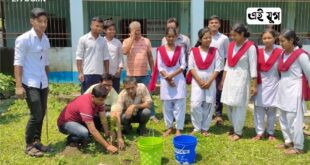 Dooars Jalpaiguri: সবুজায়নের লক্ষ্যে স্কুল চত্বরে বৃক্ষরোপণ কর্মসূচি