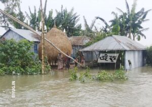 Jalpaiguri: টানা বৃষ্টিতে জলমগ্ন ধুপগুড়ির সোনাখালী 