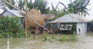 Jalpaiguri: টানা বৃষ্টিতে জলমগ্ন ধুপগুড়ির সোনাখালী