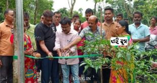 Alipurduar: সৌর পথ বাতিস্তম্ভের উদ্বোধন করলেন বিধায়ক