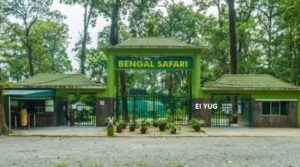 Bengal Safari: শিলিগুড়ির বেঙ্গল সাফারিতে নতুন বছরেই আনা হচ্ছে সিংহ 