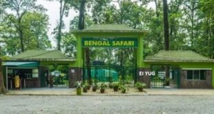 Bengal Safari: শিলিগুড়ির বেঙ্গল সাফারিতে নতুন বছরেই আনা হচ্ছে সিংহ