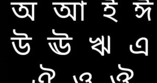 Bengali language: বাংলা ভাষা সহ একাধিক ভাষাকে ধ্রুপদী ভাষা হিসাবে স্বীকৃতি দিল কেন্দ্রীয় মানবসম্পদ উন্নয়ন মন্ত্রক