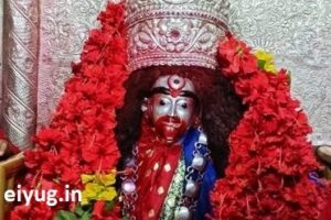 Ma Tara: মা তারার আবির্ভাব দিবসে মা কে লক্ষ্মীরূপে পুজো 