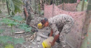 Alipurduar : আবগারি বিভাগের অভিযান, বাজেয়াপ্ত চোলাই সহ উপকরণ