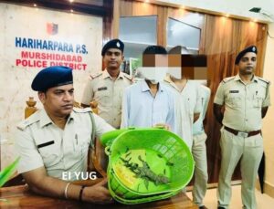 Murshidabad: বিলুপ্তপ্রায় বন্যপ্রাণী তক্ষক সহ গ্রেপ্তার তিন 