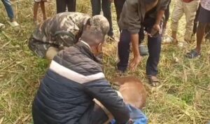 Deer: হরিন শাবক উদ্ধার নকশালবাড়িতে