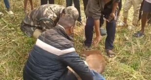 Deer: হরিন শাবক উদ্ধার নকশালবাড়িতে