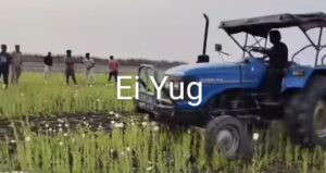 Jalpaiguri: বে আইনী আফিং চাষ নষ্ট করলো পুলিশ