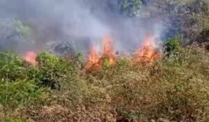 Jalpaiguri: তিনদিন ধরে আগুন জ্বলছে তোতাপাড়া জঙ্গলে,আশঙ্কা বিপুল ক্ষতির 