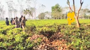 Alipurduar: সংরক্ষিত বনাঞ্চলে জ্বালানী কাঠ সংগ্রহে গিয়ে নিখোঁজ ব্যক্তির ঝুলন্ত দেহ উদ্ধারে চাঞ্চল্য এলাকায়