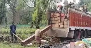 Alipurduar: খালি কাঁচের বোতল ভর্তি বস্তার আড়ালে কয়েক কোটি টাকার কাঠ পাচার রুখে দিলেন বন দপ্তরের আধিকারিকগন