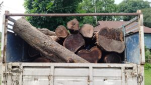 Alipurduar: সেগুন কাঠ বোঝাই পিকআপ ভ্যান আটক