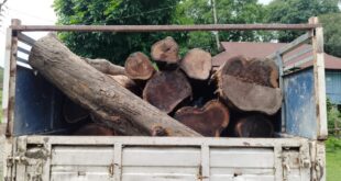 Alipurduar: সেগুন কাঠ বোঝাই পিকআপ ভ্যান আটক
