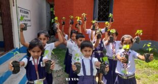 Alipurduar: আলিপুরদুয়ার জেলার বিদ্যালয় গুলিতে পেঁপেঁ চারা বিতরন শুরু করলো রাজ্য সরকারের উদ্যান পালন দপ্তর