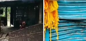 Alipurduar: হাতির হানায় ভাঙ্গলো দুটি দোকান ও পৃথক দুটি বাড়ির দুটি ঘর 