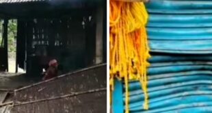 Alipurduar: হাতির হানায় ভাঙ্গলো দুটি দোকান ও পৃথক দুটি বাড়ির দুটি ঘর