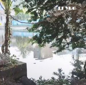 Howrah: হাওড়ার শলপে‌ ৩ মাসের নাতিকে খুনের অভিযোগ ঠাকুমার বিরুদ্ধে