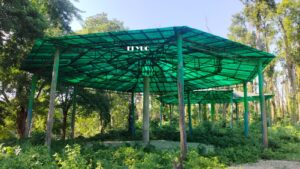 Alipurduar: পিলখানা থাকলেও হাতি নেই পিলখানায় 