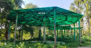 Alipurduar: পিলখানা থাকলেও হাতি নেই পিলখানায়