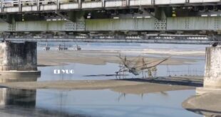 Teesta River: তিস্তা নদীতে ভেসে উঠলো প্রচুর মৃত মাছ