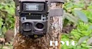 Leopard: আলিপুরদুয়ার শহর লাগোয়া ভোলারডাবড়িতে লেপার্ডের আতঙ্ক, ট্র‍্যাপ ক্যামেরা বসালো বন দপ্তর