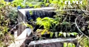 Alipurduar: ভেঙ্গে যাওয়া এপ্রোচ রোড নির্মান না হওয়ায় যাতায়াতের সমস্যায় এলাকা বাসী