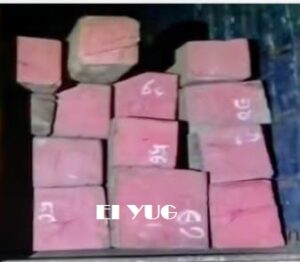 Alipurduar: বন কর্মীদের অভিযানে উদ্ধার বার্মা টিক ,বাজেয়াপ্ত ট্রাক সহ কাঠ 