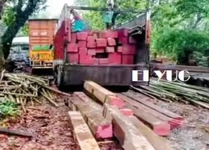 Alipurduar: বন কর্মীদের অভিযানে ভেস্তে গেলো বাঁশের আড়ালে বহুমূল্য বার্মিজ সেগুন কাঠ পাচারের ছক