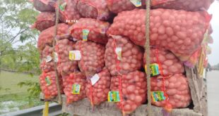 Potato : আলুর প্যাকেট নিয়ে কালোবাজারি চলছে