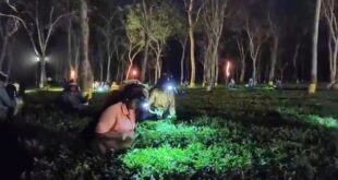 Alipurduar: রাতভর ভীড় করে মুনলাইট প্লাকিং দেখলেন পর্যটকরা