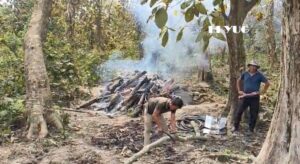 Elephant: চেংমারির বালাপাড়ায় বিদ্যুৎস্পৃষ্ট হয়ে হাতির মৃত্যু ,গ্রেফতার ১