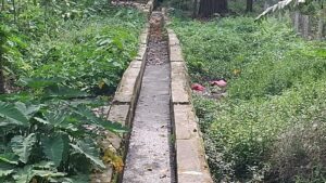 Alipurduar: ম্যালেরিয়ার উৎপত্তিস্থল কামাখ্যাগুড়ি হাসপাতালে