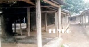 MALDA: এস আই আর প্রক্রিয়ায় বাদ গিয়েছে নাম, প্রতিবাদে সাপ্তাহিক হাট বসতে দিলোনা স্থানীয়রা