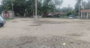 Alipurduar: শামুকতলায় বন্ধ গরু কেনাবেচা ,ব্যবসায়ীদের মধ্যে হতাশা