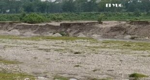 Alipurduar: শামুকতলা ডাঙ্গী এলাকায় ট্রাক্টরের দাপাদাপি নেই পালা বদলের জেরে