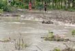 Alipurduar: জলদাপাড়ার নতুন পাড়া গ্রামে জল ঢুকলো