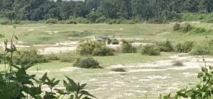 Alipurduar: বালি মাফিয়ারা অনেকটাই সক্রিয় শামুকতলায়